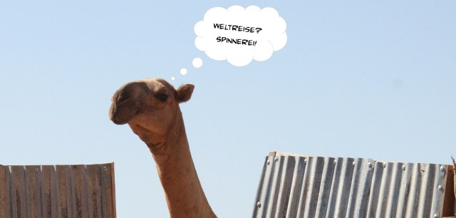 am_Anfang_stand_Idee_V5